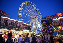 nic_5445 - Nicole Ellerbrake