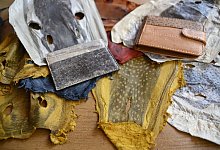 Das Leder des Kugelfischs wird unter anderem zu Geldb&ouml;rsen verarbeitet. - Anne Pollmann/dpa