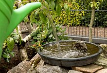 Vogeltr&auml;nken im Garten - Foto: Christin Klose/dpa-tmn