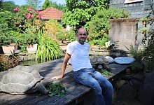 Axel Meier und seine rund 70 Schildkr&ouml;ten - Sascha Thelen/dpa