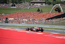 Fan-R&uuml;ckkehr - Foto: Georg Hochmuth/APA/dpa