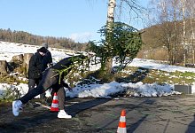 baum-4 - Rudi Rudolph