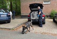 Bei den Durchsuchungen in M&uuml;nster ist dieser Datensp&uuml;rhund f&uuml;ndig geworden. - Martin Krause