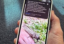 Apple Intelligence auf einem iPhone - Till Simon Nagel/dpa-tmn