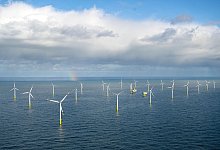 Fridays for Future demonstriert auf Borkum - Sina Schuldt/dpa