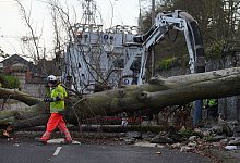 Sturm Eowyn in Irland - Brian Lawless/PA Wire/dpa