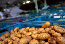 Kartoffeln - Sven Hoppe/dpa