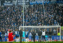 fans - 1 - Sarah Jonek