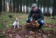 Stadtwald - Kirsten Fuhrmann