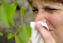 Heuschnupfen - Foto: Patrick Pleul