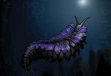 Neue Ringelwurmart - Rhiannon LaVine/Naturkundemuseum Karlsruhe/dpa