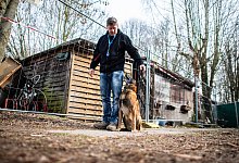 Sp&uuml;rhund Artus - Guido Kirchner/dpa