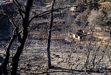 Nach dem Gro&szlig;brand bei Athen - Socrates Baltagiannis/dpa