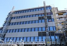 Rathaus - Alexandra Schaller