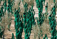 Spencer Tunick mit Kunstinstallation in Andalusien - Álex Cámara/EUROPA PRESS/dpa