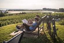 Auf dem Fahrrad um den Bodensee - Frederick Sams/Deutsche Bodensee Tourismus GmbH/dpa-tmn