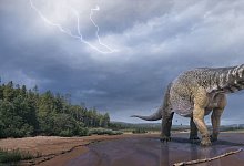 Australotitan cooperensis - Foto: Vlad Konstantinov/Scott Hocknul/Queensland Museum/The Eromanga Natural History Museum/AAP/dpa