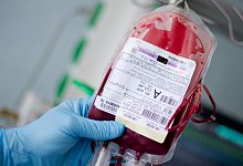 Blutkonserve - Daniel Bockwoldt/dpa