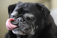 Natron kann helfen - Foto: Marcus Brandt/dpa/dpa-tmn