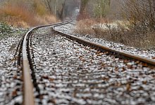 Alte Heidekraut-Strecke - Foto: Patrick Pleul/dpa-Zentralbild/dpa