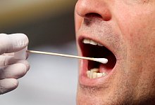 DNA-Massentest - Foto: Roland Weihrauch/dpa