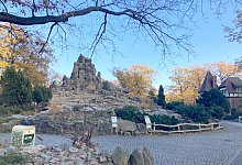 Berliner Zoo wegen Vogelgrippe ger&auml;umt - Theresa Held/dpa