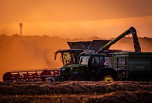 Getreideernte beim Sonnenuntergang - Jens Büttner/dpa
