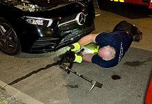 Rettung f&uuml;r die eingesperrte Katze in Krefeld: Ein Feuerwehrmann holt sie aus dem Motorraum. - Alexander Forstreuter/dpa