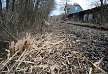 img_5531 - Katrin Kantelberg