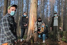 Stadtwald - Carolin Brokmann-F&ouml;rster