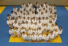 Armadillos - Armadillos