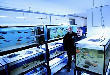 Barschkeller Barntrup - Lorraine Brinkmann