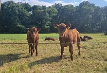 241017-1523-503330648 - 1 - Symbolfoto: Kirsten Fuhrmann