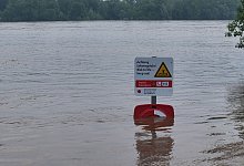 Hochwasser am Rhein - Sascha Thelen/dpa