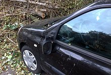 Sturmschäden am Auto - Foto: Johanna Dürrwald/dpa-tmn