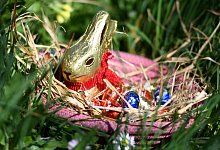 Lindt-Schokoladenhase - Foto: Angelika Warmuth/dpa