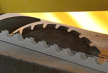 Kreiss&auml;ge - Foto: Karl-Josef Hildenbrand