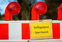 Vogelgrippe - Foto: Thorsten Helmerichs