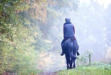 Reiten nach l&auml;ngerer Pause - Foto: Christin Klose/dpa-tmn