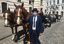 Fiaker - Foto: Matthias R&ouml;der/dpa