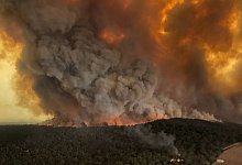 Buschbrand in Australien - Foto: Glen Morey/Glen Morey/dpa