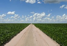 Soja-Anbau in Brasilien - Foto: Global Land Analysis and Discovery (GLAD) lab, University of Maryland/dpa