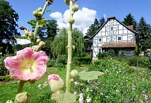 Ferienh&ouml;fe in Deutschland - Foto: J.G&uuml;nst/Weidelshof/dpa-tmn
