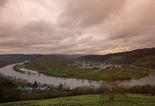 Winterwetter in Trittenheim an der Mosel - Harald Tittel/dpa/dpa-tmn