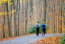 Jogger laufen durch den herbstlich gefärbten Wald. - Thomas Banneyer/dpa