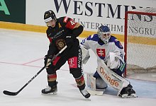 Deutschland - Slowakei - Karl-Josef Hildenbrand/dpa