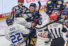 Eisb&auml;ren Berlin - Straubing Tigers - Andreas Gora/dpa