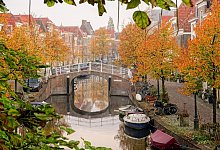 Grachten im herbstlichen Leiden - Robin Utrecht/NBTC/dpa-tmn