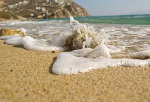 Fotografieren am&nbsp;Meer - Foto: Sven Hoppe/dpa