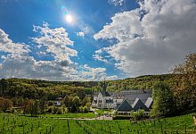 Rheingau - Andreas Arnold/dpa